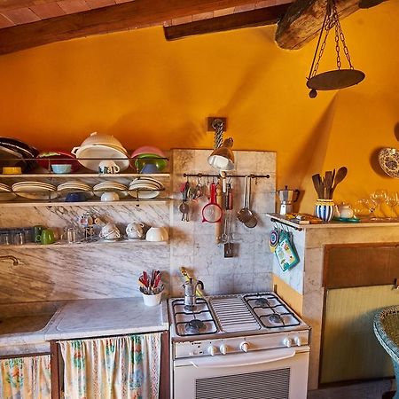 Trebiano Sotto Il Castello B&B 외부 사진